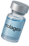Colagea